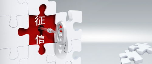 踐行合規運營新篇章 桔子分期與百行征信正式建立互聯網征信服務合作