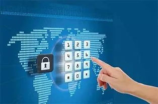 網絡時代個人信息安全的刑法保護