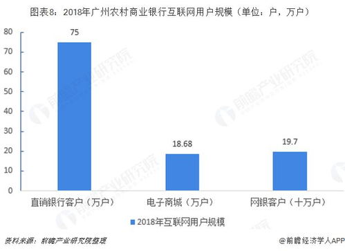 廣州還唄金融服務 互聯網接入及相關服務的全面解析