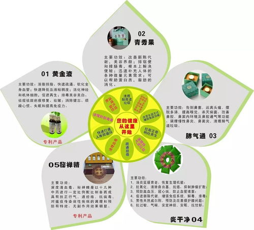 微循環 生命健康的基石與健康管理的核心